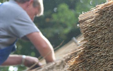 professional Tempo thatchers